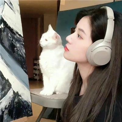 斯嘉丽小姐和公爵第三季